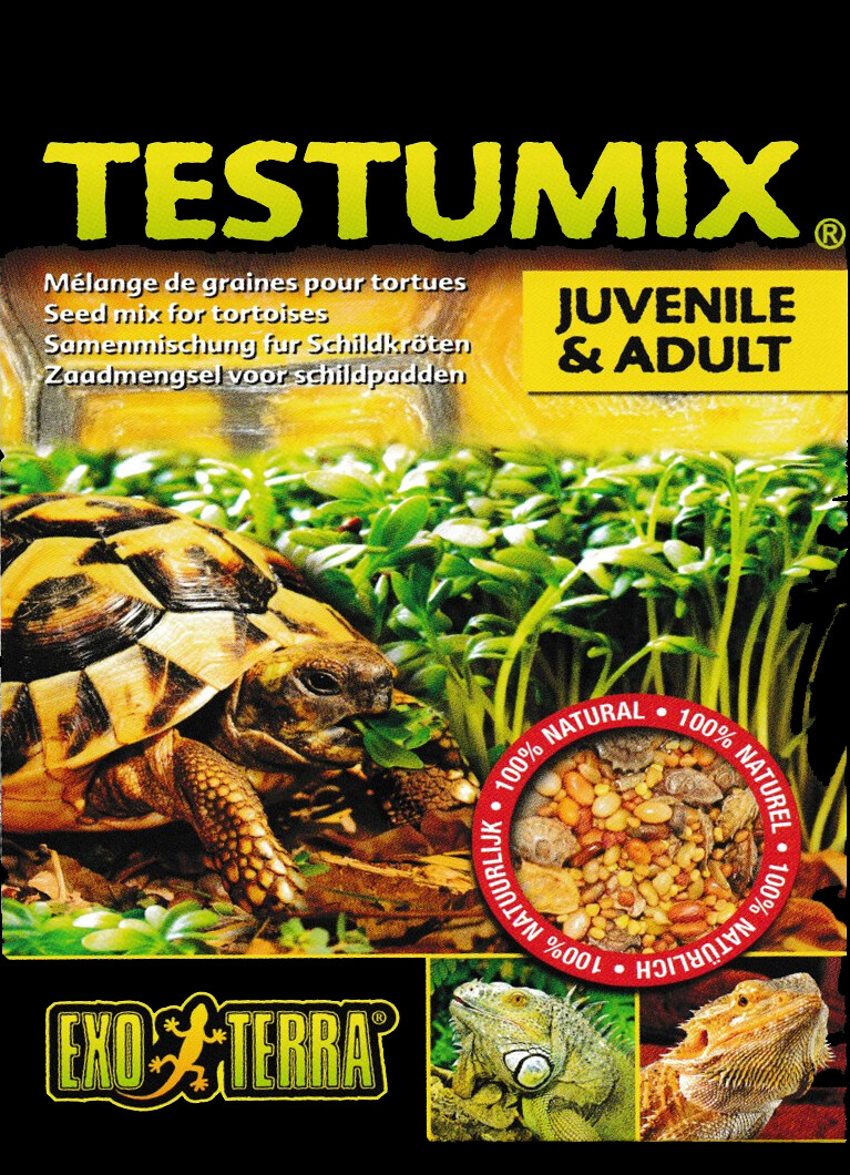 Testumix Mélange de graines à semer pour Tortues et Reptiles 75 grammes Testumix Mélange de graines à semer pour Tortues et Reptiles 75 grammes