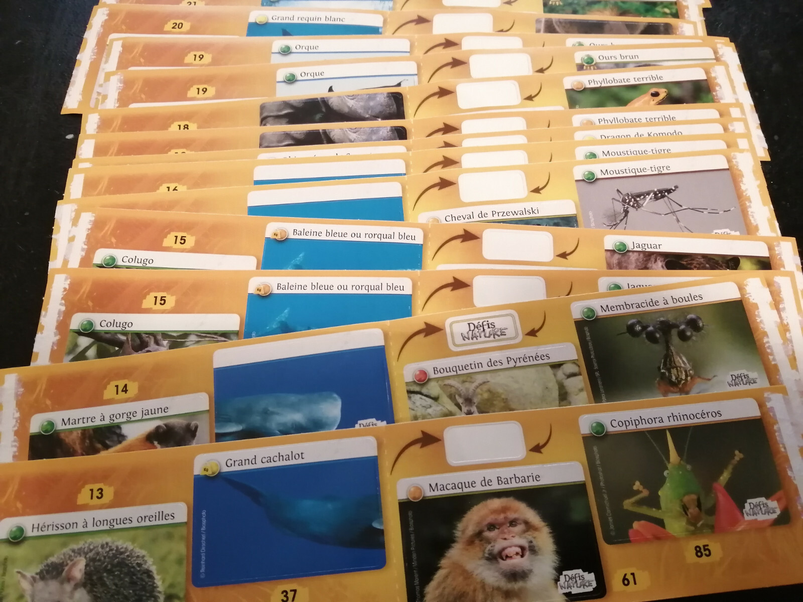 Autocollants DEFIS NATURE de AUCHAN (planche de 4 autocollants)