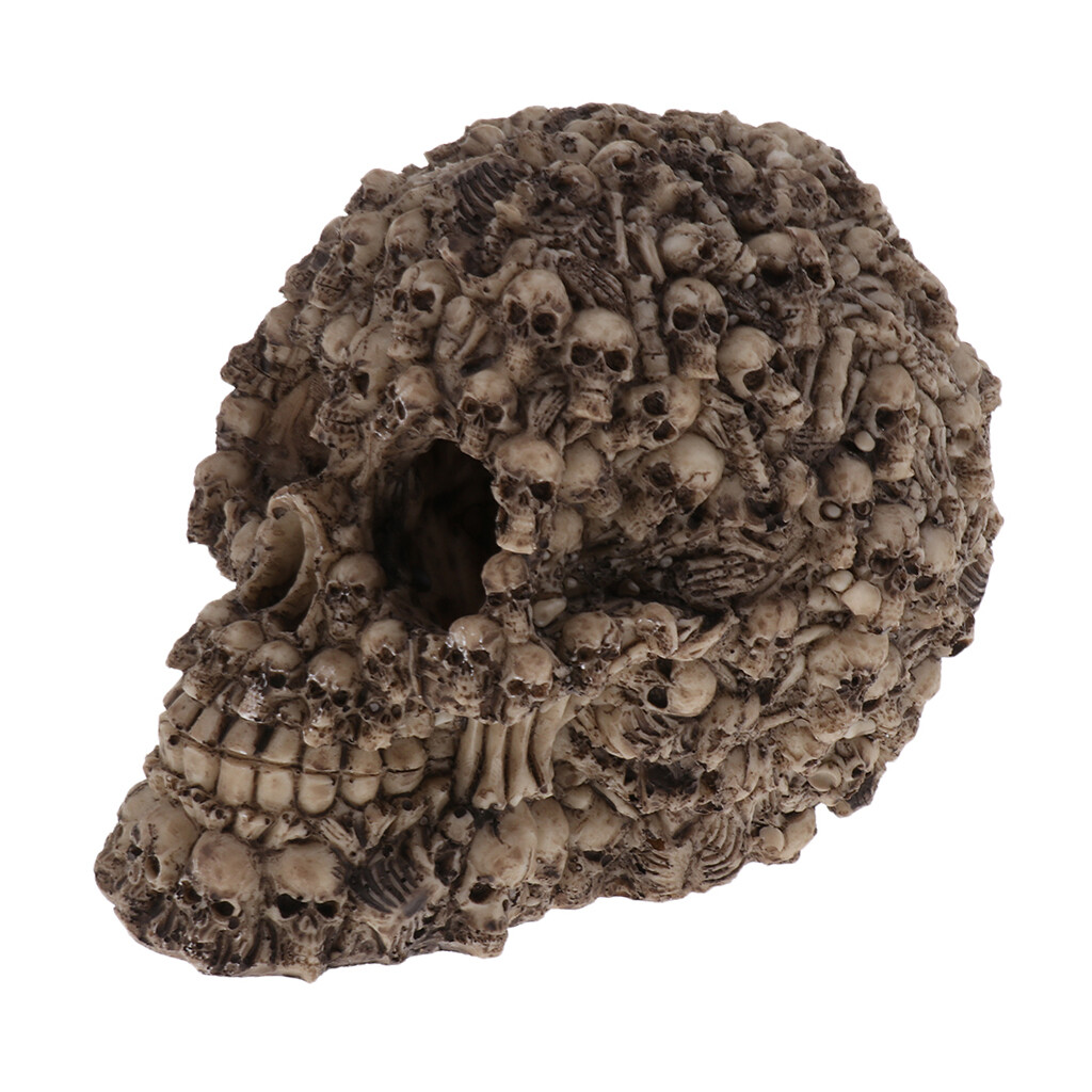 Décoration Primat Crâne pour Reptiles et Amphibiens