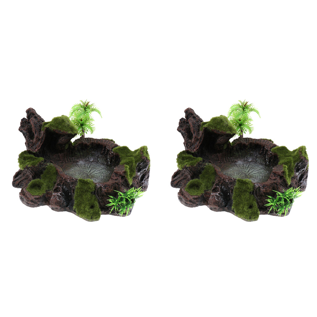 2 Pièces Plante Mousse Décor Reptile Bol D’alimentation