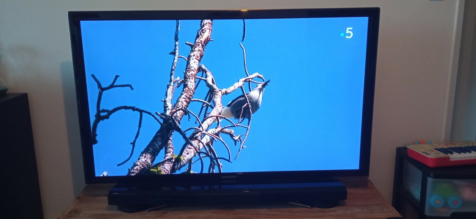 TV SAMSUNG LCD 55″ HD TV 1080P LED 3D TV SAMSUNG LCD 55″ HD TV 1080P LED 3D