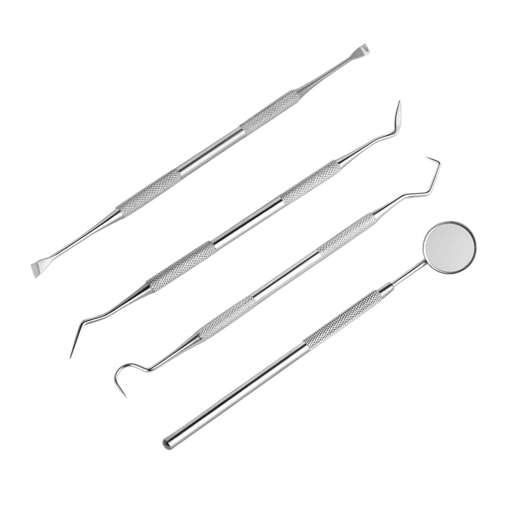 4x Hygiène bucco-dentaire Dents Tartare Grattoir Dent Pick Pick Scaler dentaire