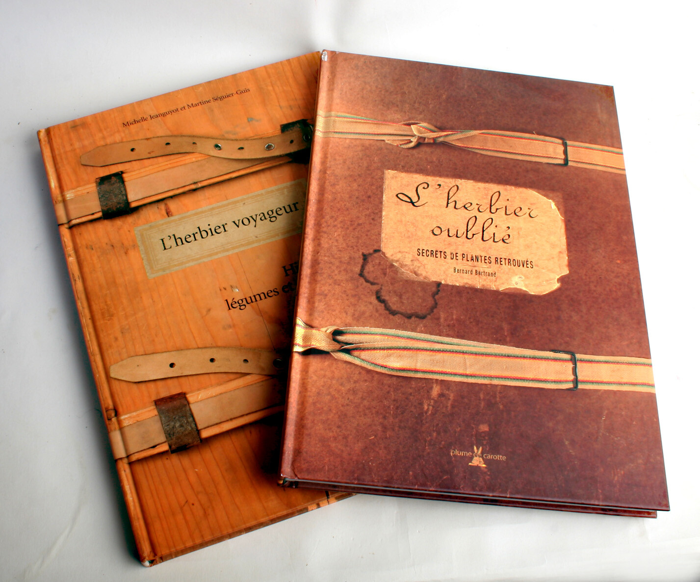 2 LIVRES NATURE – HERBIER VOYAGEUR ET HERBIER OUBLIE – BOTANIQUE NATURALISTE 2 LIVRES NATURE – HERBIER VOYAGEUR ET HERBIER OUBLIE – BOTANIQUE NATURALISTE