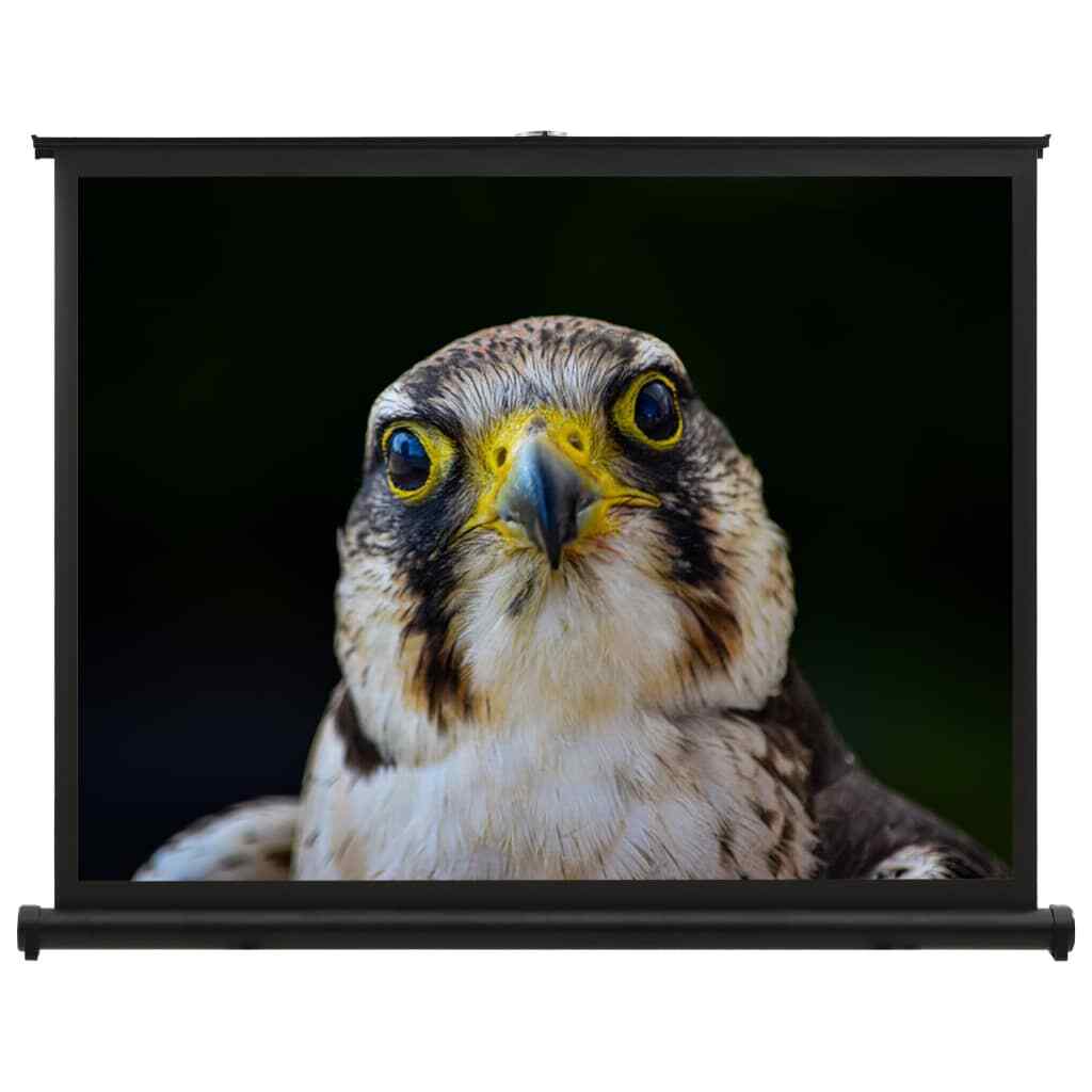 vidaXL Ecran de Projection de Bureau 50″ 4:3 Projecteur Cinéma Maison Portable