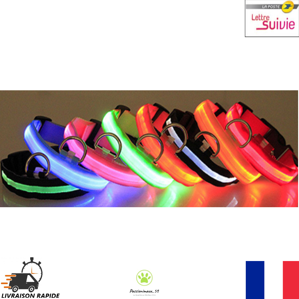 Collier Nylon Lumineux à Led pour Chien Chat Sécurité Nuit Réglable Neuf FR Collier Nylon Lumineux à Led pour Chien Chat Sécurité Nuit Réglable Neuf FR