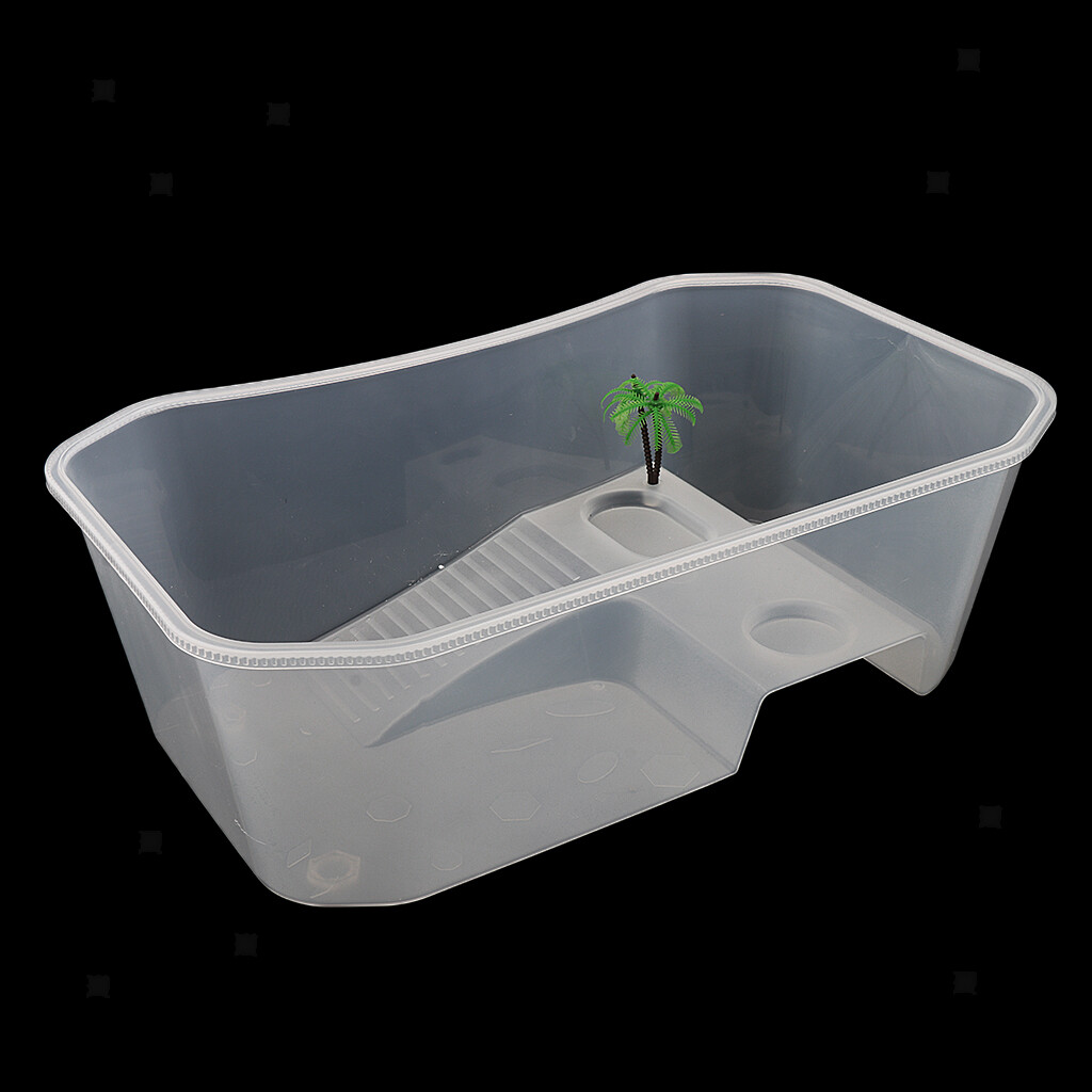 Aquarium pour Poisson en Verre Aquarium pour Poisson en Verre