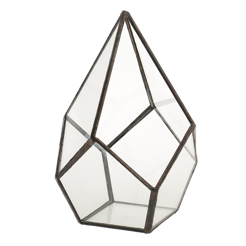 Accueil Boîte de terrarium en verre Jardinière de plantes succulentes Accueil Boîte de terrarium en verre Jardinière de plantes succulentes