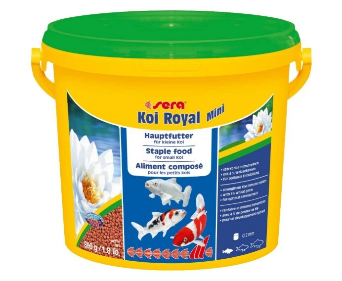 Aliment Nourriture Poisson Aquarium Complet Sera Koi Royal Seau Granulé 3,8 L Aliment Nourriture Poisson Aquarium Complet Sera Koi Royal Seau Granulé 3,8 L