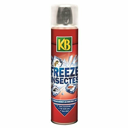 KB Insecticide Spray 300 ML Nexa Freeze Stop Araignées Fourmis Punaises de Lit