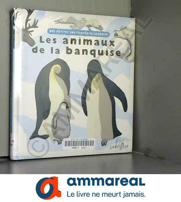 Les animaux de la banquise Les animaux de la banquise