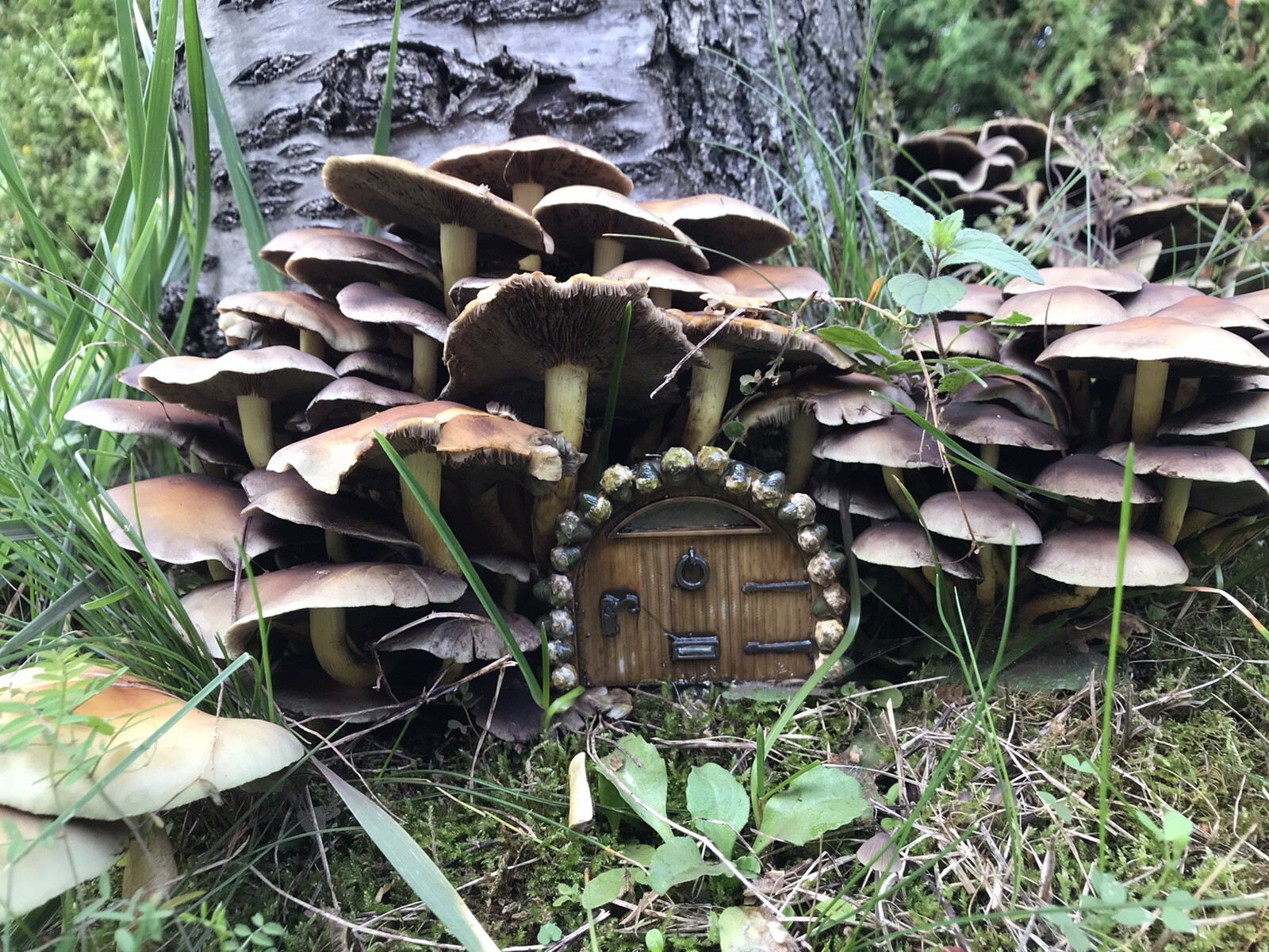 decoration jardin Porte De Maison De Souris decoration jardin Porte De Maison De Souris
