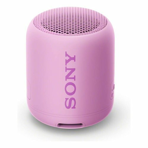 Haut-Parleurs sans Fil Sony SRSXB12V 0760920 Haut-Parleurs sans Fil Sony SRSXB12V 0760920