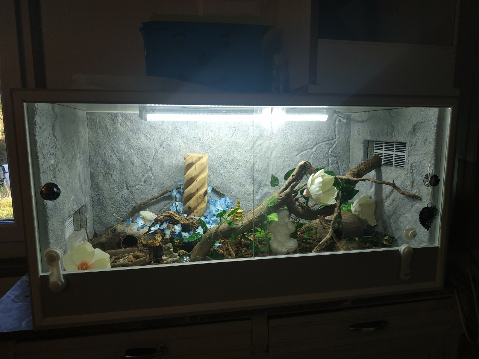 Terrarium reptile Terrarium reptile