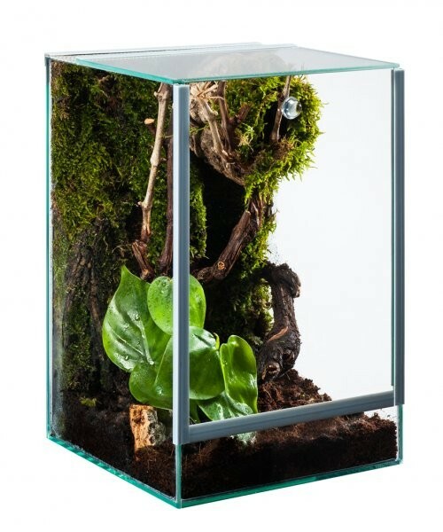 Nano Terrarium Spider 15 20 H CM Vitrine Pour Araignées Grillons Insectes Âge