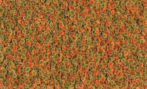 TETRA PRO MULTI-CRISPS NOURRITURE POISSONS AQUARIUM RECHARGE TETRA PRO MULTI-CRISPS NOURRITURE POISSONS AQUARIUM RECHARGE