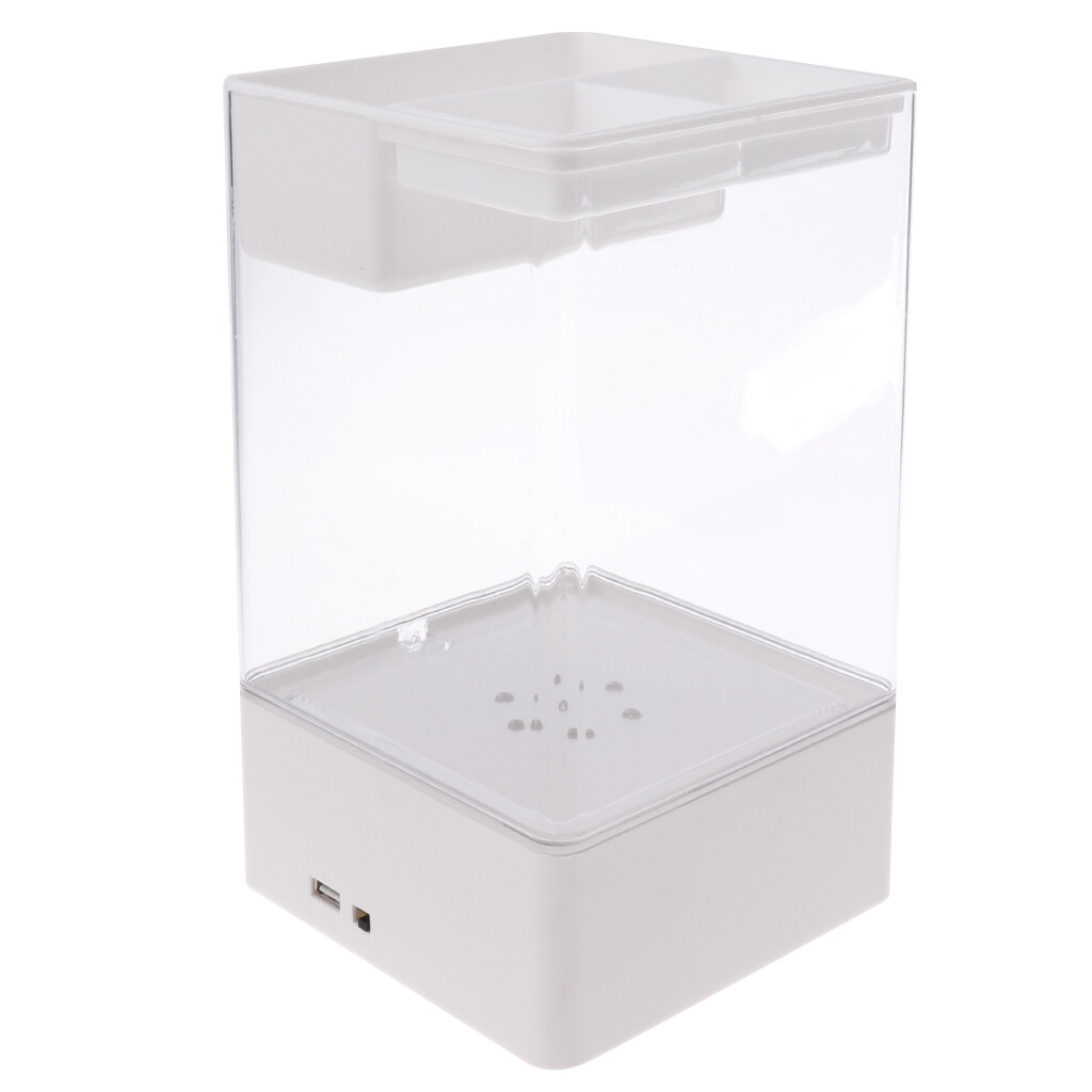 Aquarium pour Poisson Plante Amovible en Acrylique