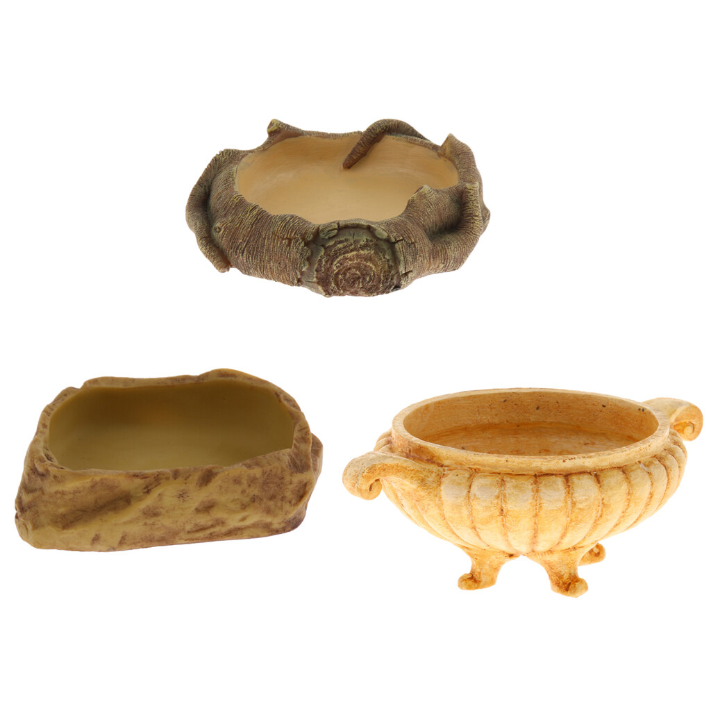 Bol d’alimentation d’araignées de tortue de distributeur de plat d’eau de