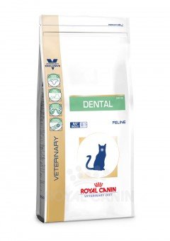 ROYAL CANIN Dental DSO 29 Nourriture pour Chat 3 kg