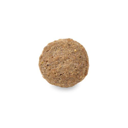 Arden Grange Nourriture pour Chien Adulte