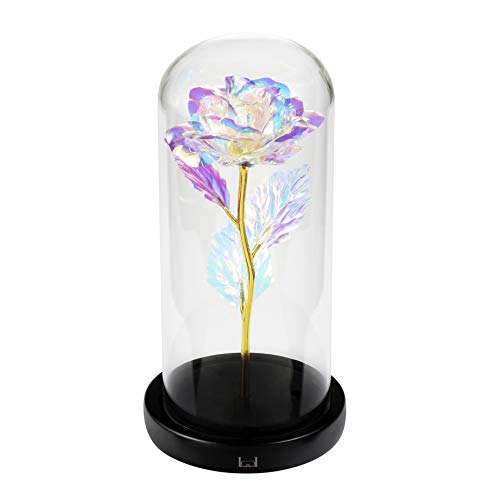 La Belle et la Bête Rose, Cadeaux pour Elle, Cadeaux d’Anniversaire pour Femme, Rose Enchantée dans un Dôme de Verre…