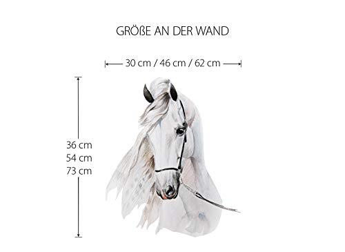Little Deco Tatouage Mural tête de Cheval I (LxH) 62 x 73 cm I Chambre d Enfant bébé Stickers muraux Posters DL142