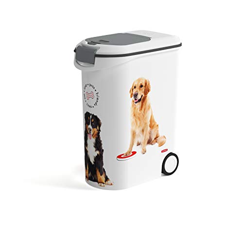 CURVER Conteneur à Croquettes Pour Chien – 20kg / 54L – Grand Rangement Hermétique Anti-Odeurs pour Nourriture pour…