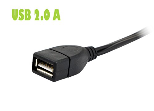 CERRXIAN Câble USB vers 3RCA, USB 2.0 femelle type A vers 3 prises RCA mâle, câble adaptateur audio vidéo AV composite…