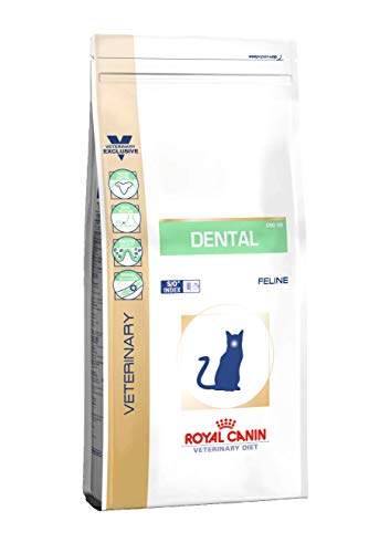 ROYAL CANIN Dental DSO 29 Nourriture pour Chat 3 kg