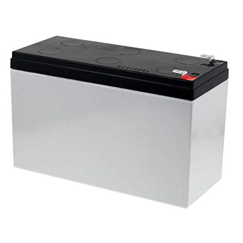 Yuasa NP7-12 Batterie au Plomb, 12 V 7 Ah, VDS