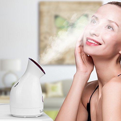Vapeur Visage Vaporisateur Wolady Sauna Spa Facial Chaude Nano Ionique Visage Steamer Humidificateur Appareil Outils…