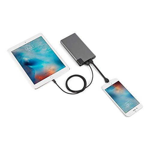 Belkin – Power Rockstar – Batterie Externe Premium 10000 mAh pour Smartphones et Tablettes avec Câbles micro-USB…