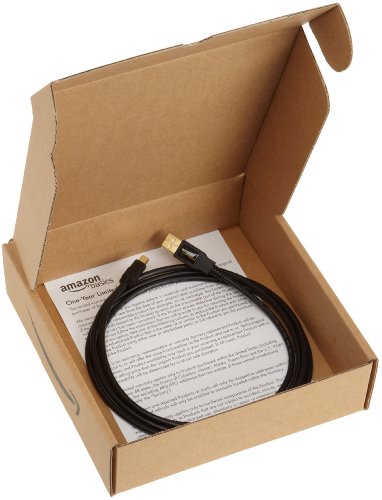 Amazon Basics Câble USB 2.0 mâle A vers mâle mini B 0,9 m