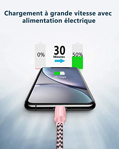 Zeuste Câble USB C vers Lightning[Certifié de MFi]1,5m en Nylon Tressé Charge Rapide Compatible avec iPhone 11 Pro…