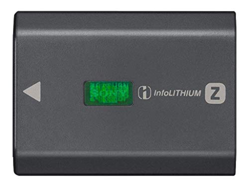 Sony NP-FZ100 Batterie Rechargeable Haute Capacité pour Appareil Photo