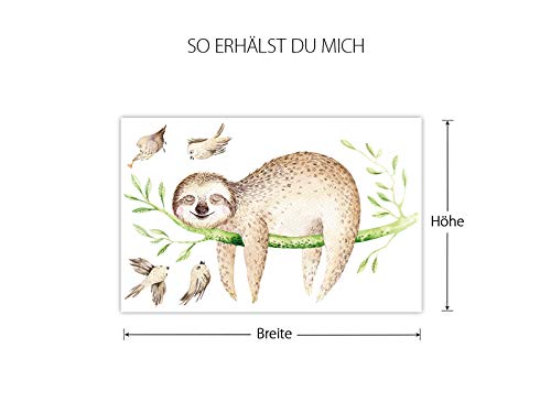 Little Deco Tatouage Mural Paresseux sur Branches & Oiseaux I (LxH) 62 x 40 cm I Nursery Baby Room Stickers muraux…
