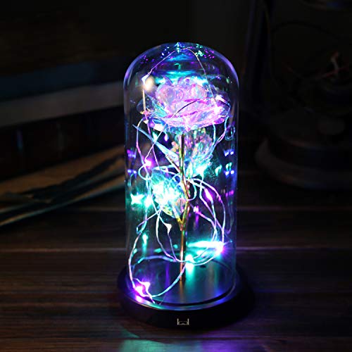 La Belle et la Bête Rose, Cadeaux pour Elle, Cadeaux d’Anniversaire pour Femme, Rose Enchantée dans un Dôme de Verre…