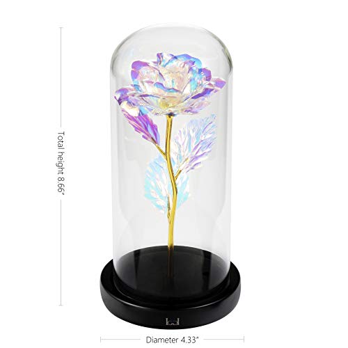 La Belle et la Bête Rose, Cadeaux pour Elle, Cadeaux d’Anniversaire pour Femme, Rose Enchantée dans un Dôme de Verre…