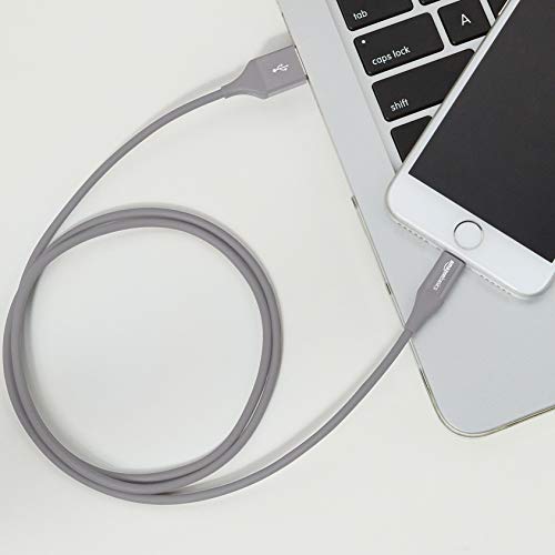 Amazon Basics Câble Lightning vers USB A pour iPhone et iPad – 0,9 m – Lot de 1 , Gris