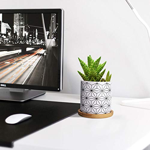 Lewondr 4PCS Pot de Fleur, 2.8 pouce Mini Céramique Succulent Pots Horticoles Jardinière avec Plateau en Bambou pour Petites Plantes Fleurs Cactus Maison Décorations Décor – Géométrie 01, Noir & Blanc