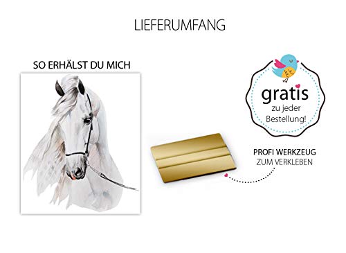 Little Deco Tatouage Mural tête de Cheval I (LxH) 62 x 73 cm I Chambre d Enfant bébé Stickers muraux Posters DL142