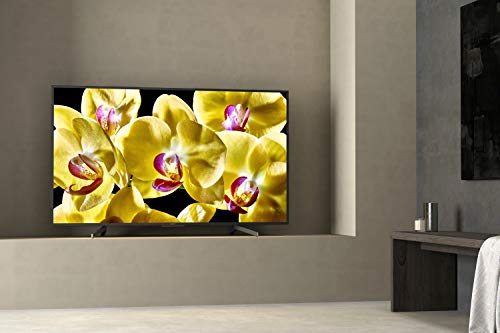 Sony Téléviseur LED EEC: A (A+++ – D) BRAVIA KD49XG8096 KD49XG8096BAEP 123 cm (49 Pouces) DVB-T2, DVB-C, DVB-S2, U