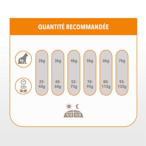 Iams Vitality – Croquettes Premium Chats Adultes 100% Complètes et équilibrées – A l’Agneau – Sans OGM Colorant Arôme…