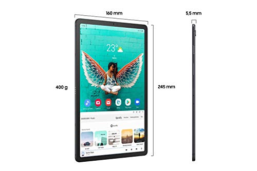 Samsung Galaxy Tab S5e T720 (10,5 Pouces) WLAN Noir