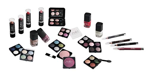 Briconti Zmile Cosmetics Coffret Maquillage Mallette en Aluminium, 51 Pièces, 1 Unité