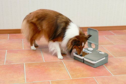 PetSafe – Distributeur de Nourriture et Croquettes Automatique pour Chats et Chien / 2 Repas