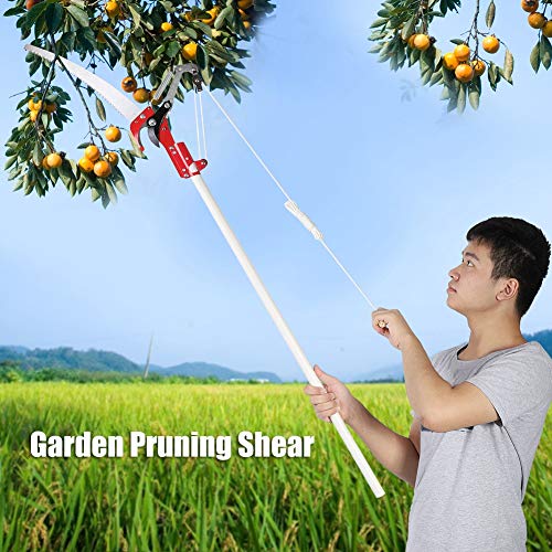 Delaman Coupe-Arbre 2 Roues Sharp Garden Elun Shear Tree Clipper Tree Clipper Trim Tool