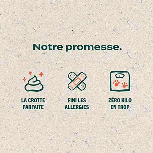 Franklin – Croquettes sans Céréales – Chat Adulte – 60% de Viande – Hypoallergéniques – Digestion Parfaite – Saumon…