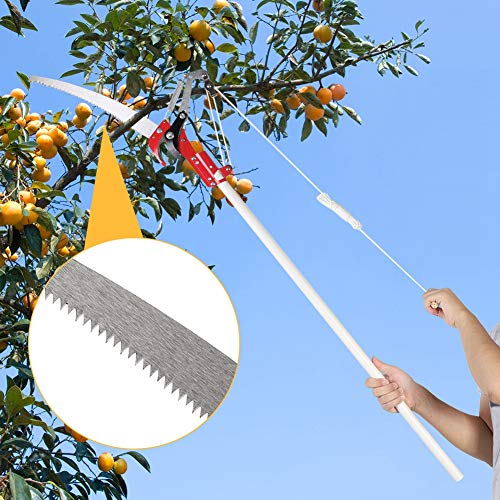 Delaman Coupe-Arbre 2 Roues Sharp Garden Elun Shear Tree Clipper Tree Clipper Trim Tool