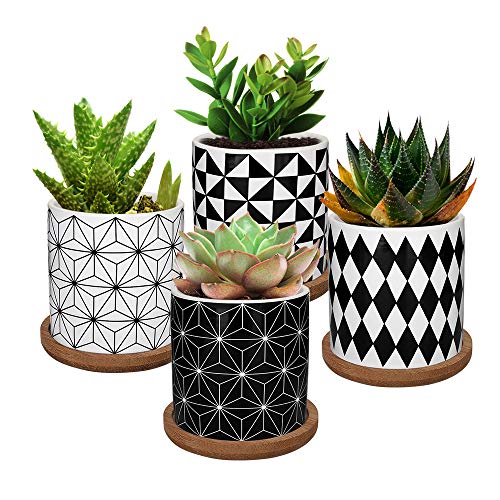 Lewondr 4PCS Pot de Fleur, 2.8 pouce Mini Céramique Succulent Pots Horticoles Jardinière avec Plateau en Bambou pour Petites Plantes Fleurs Cactus Maison Décorations Décor – Géométrie 01, Noir & Blanc