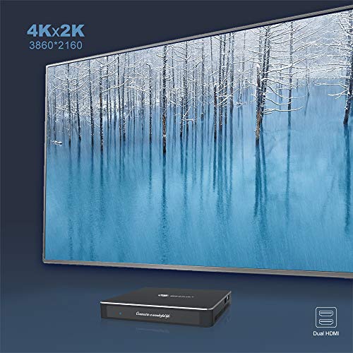 Mini PC, Beelink T45 8GB DDR3 256GB SSD Fanless Mini Computer Desktop Ultra-Thin Windows 10 Intel Celeron J4205…